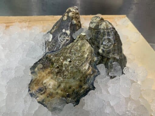 Oysters | Gillardeau