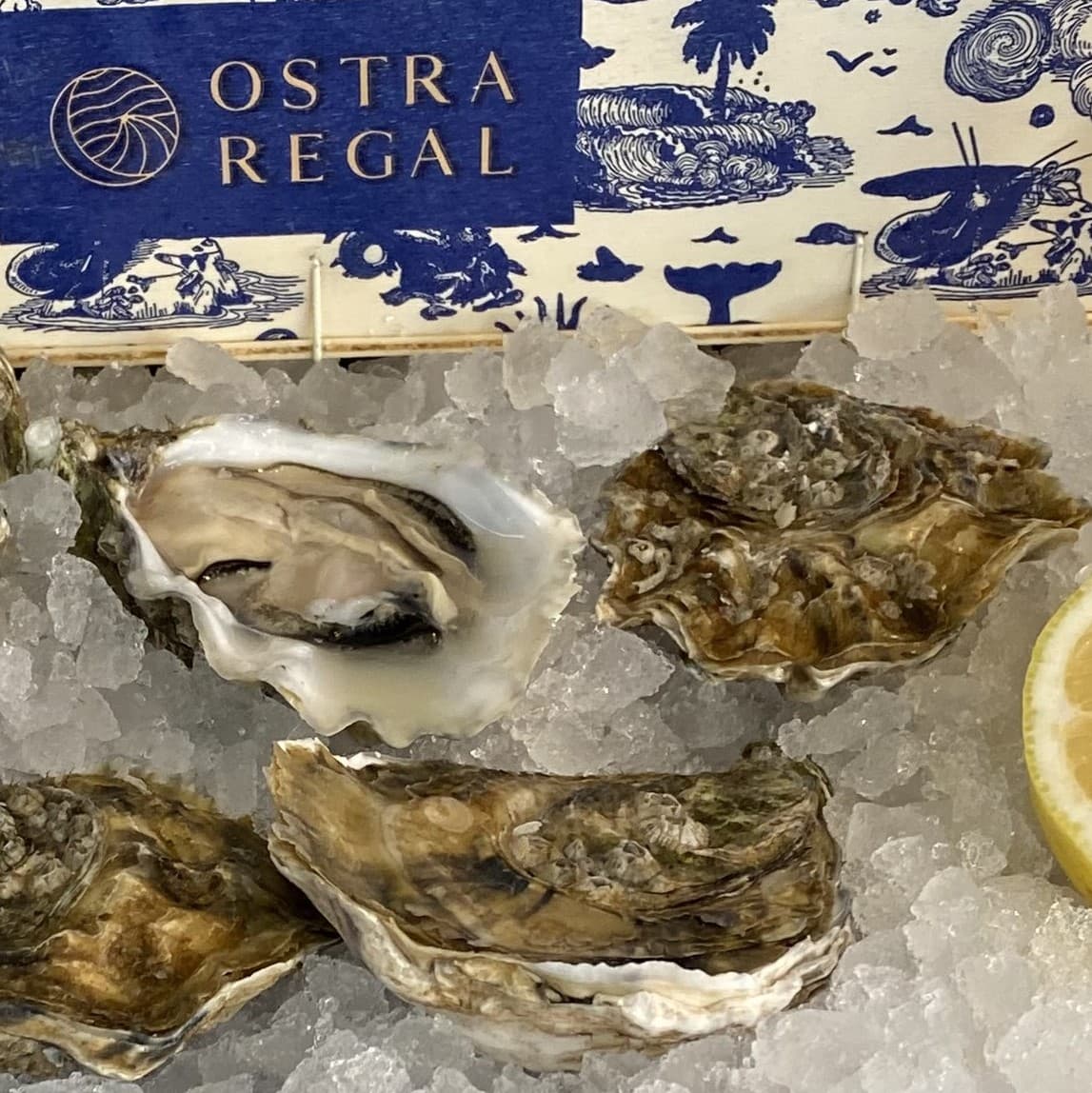 Oysters | French Ostra Regal